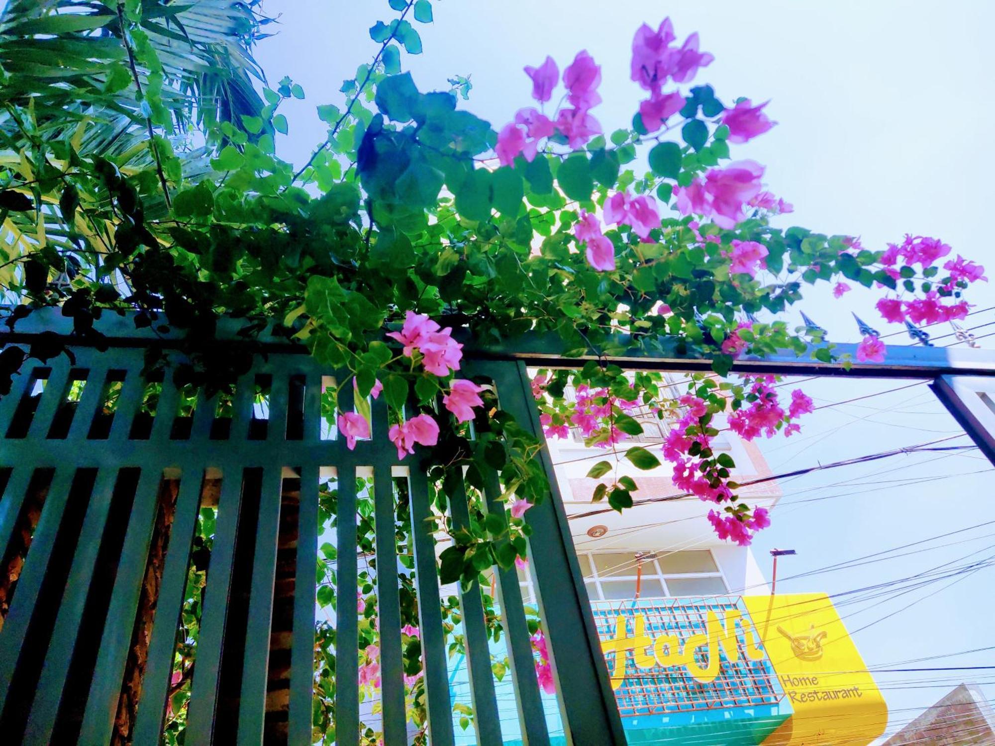 Nap Homestay Kinh Dinh Eksteriør billede