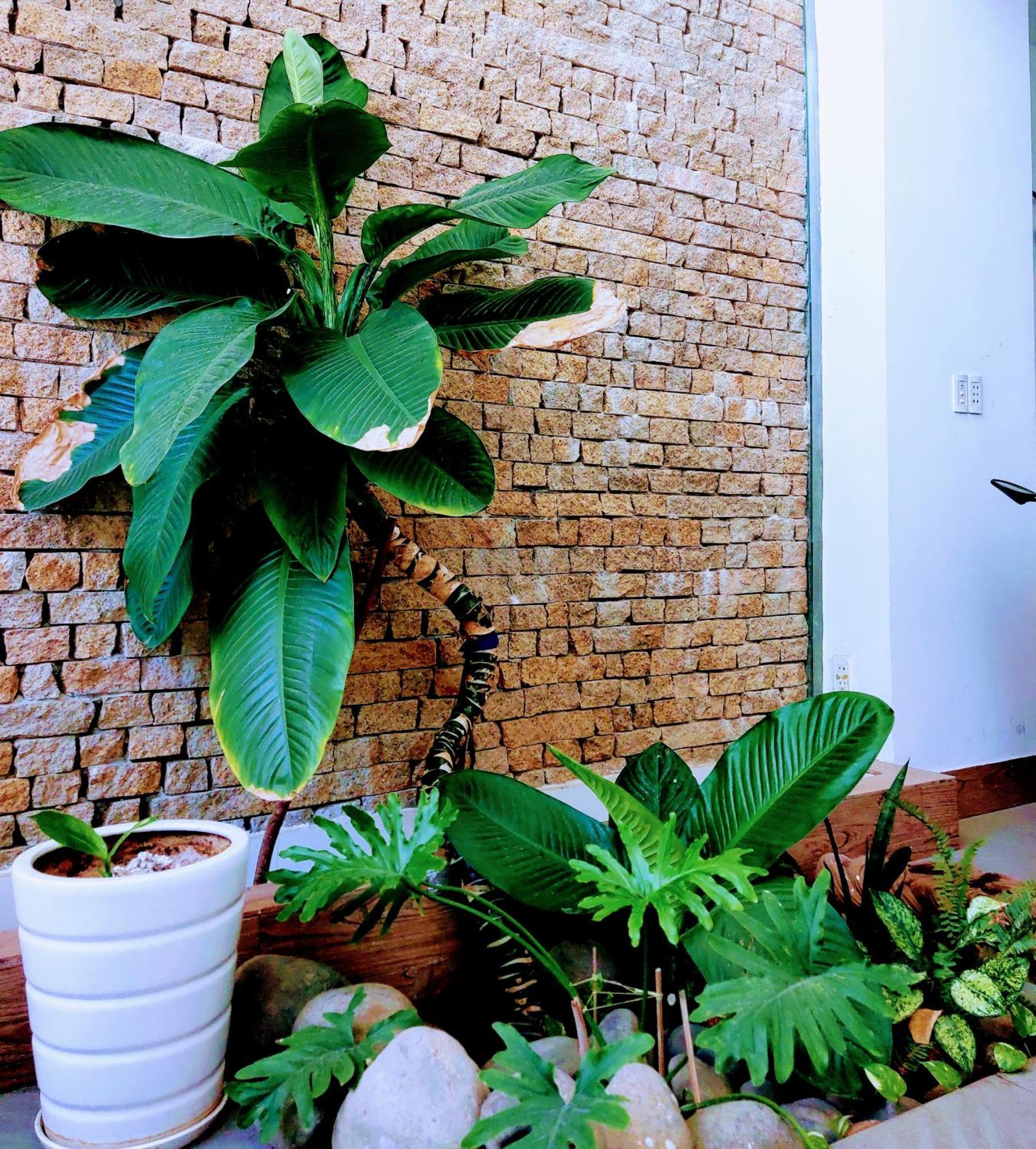 Nap Homestay Kinh Dinh Eksteriør billede
